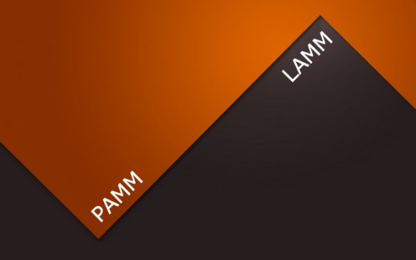 PAMM  LAMM ,  